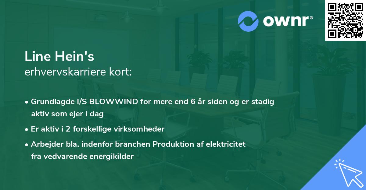 Line Hein's erhvervskarriere kort