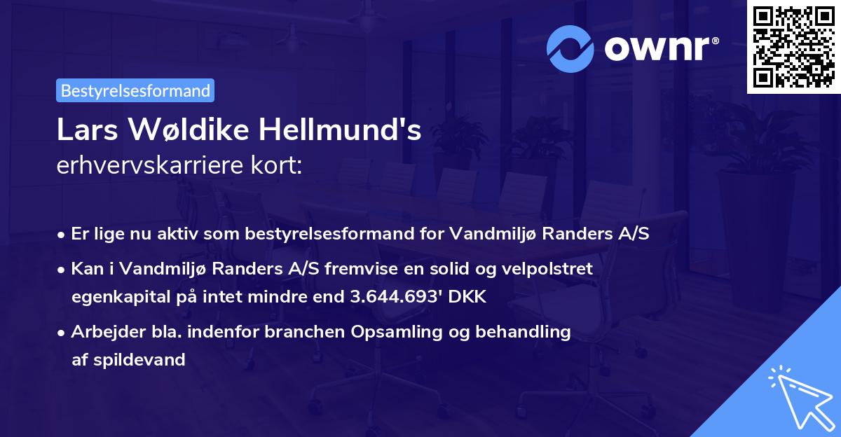 Lars Wøldike Hellmund's erhvervskarriere kort