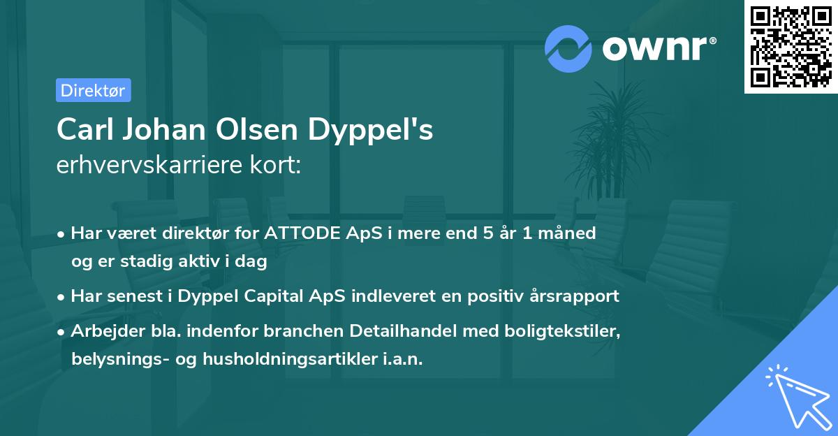 Carl Johan Olsen Dyppel's erhvervskarriere kort