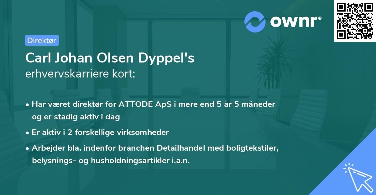 Carl Johan Olsen Dyppel's erhvervskarriere kort