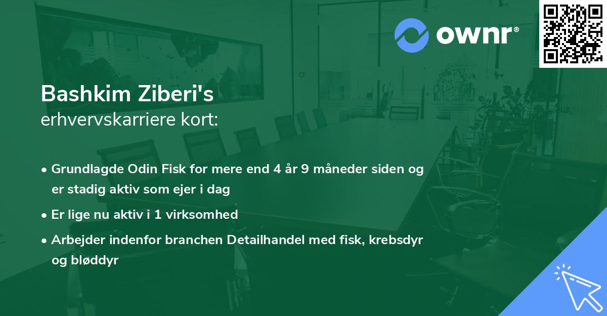 Bashkim Ziberi's erhvervskarriere kort