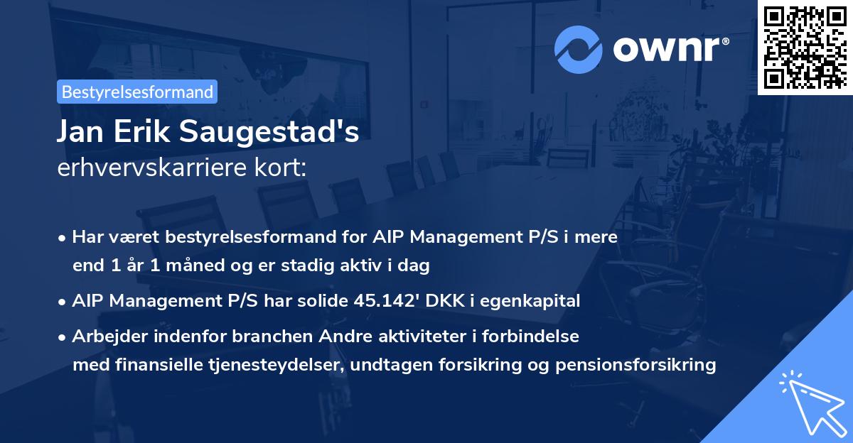 Jan Erik Saugestad's erhvervskarriere kort