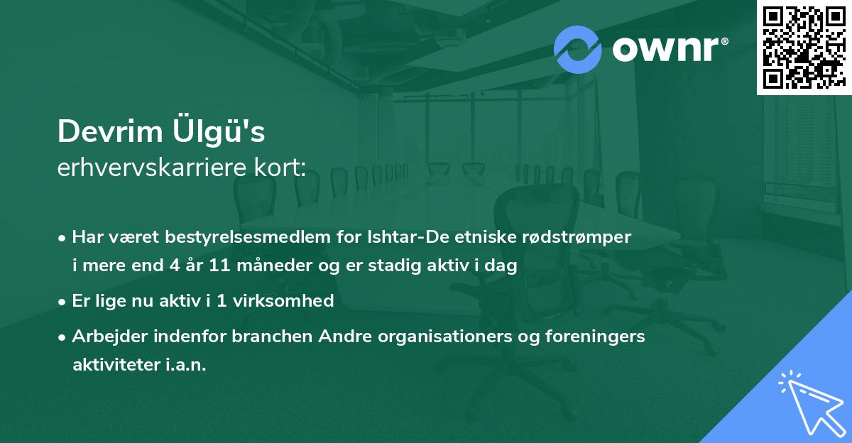 Devrim Ülgü's erhvervskarriere kort