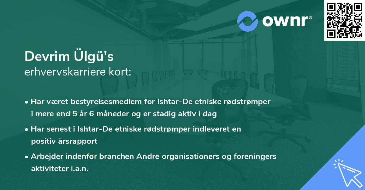 Devrim Ülgü's erhvervskarriere kort
