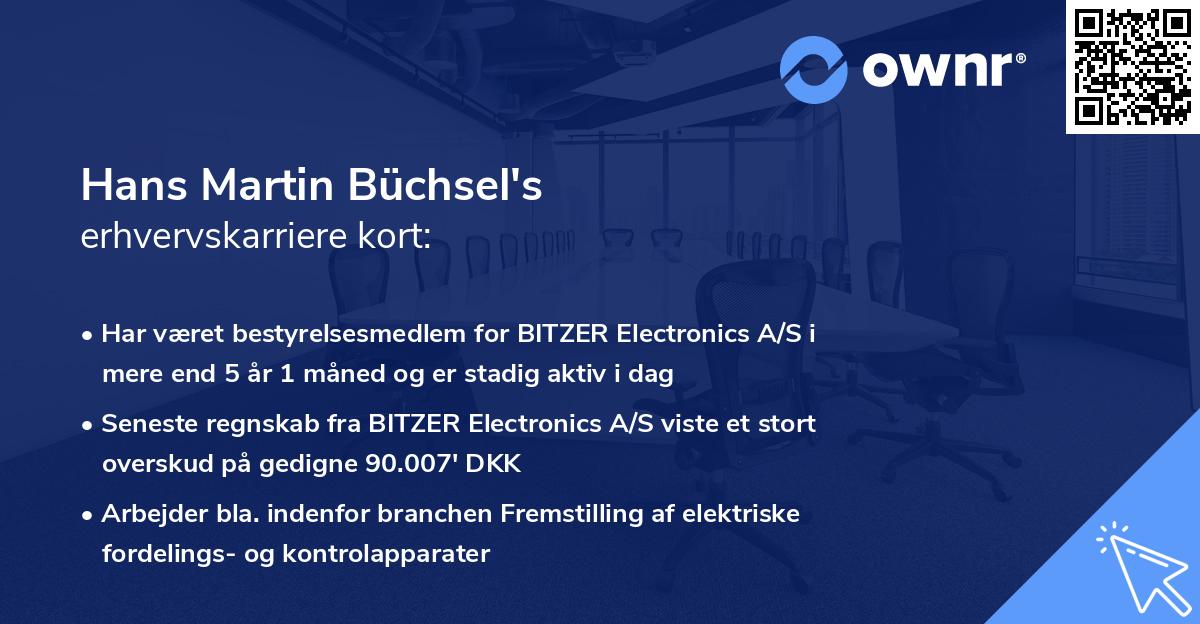 Hans Martin Büchsel's erhvervskarriere kort