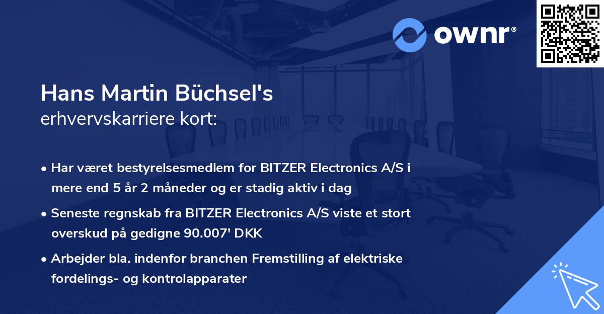 Hans Martin Büchsel's erhvervskarriere kort