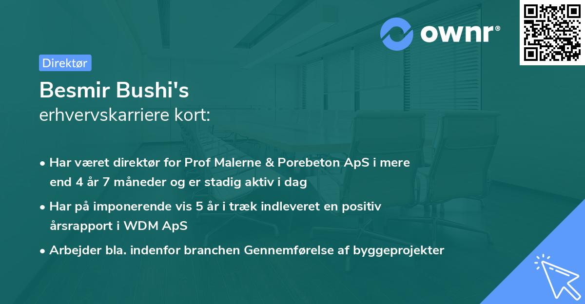 Besmir Bushi's erhvervskarriere kort