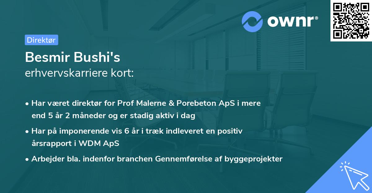 Besmir Bushi's erhvervskarriere kort