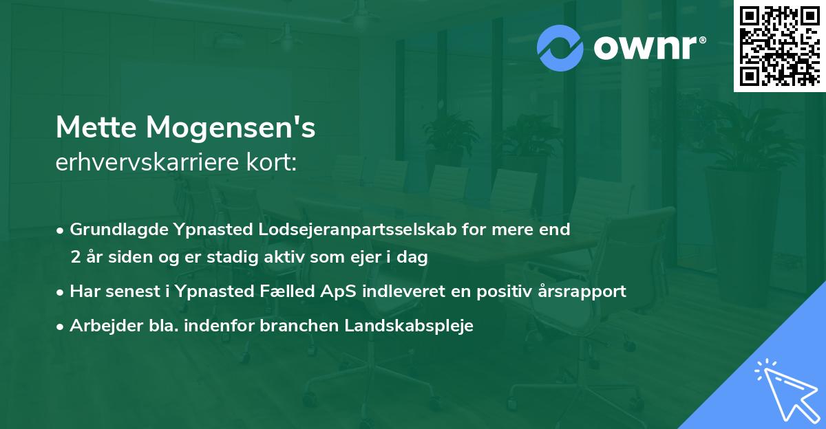 Mette Mogensen's erhvervskarriere kort