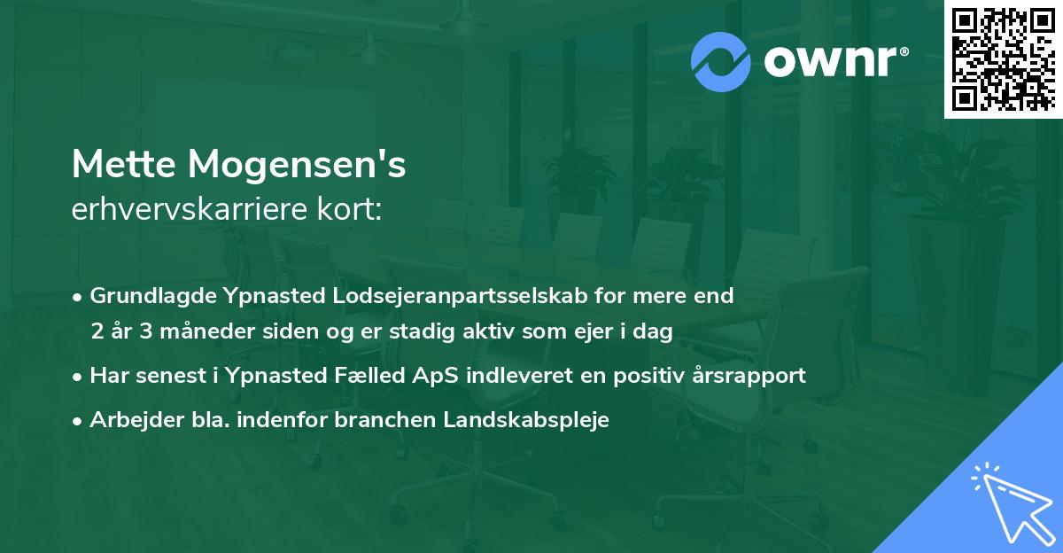 Mette Mogensen's erhvervskarriere kort