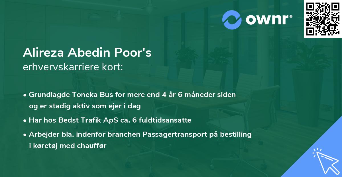 Alireza Abedin Poor's erhvervskarriere kort