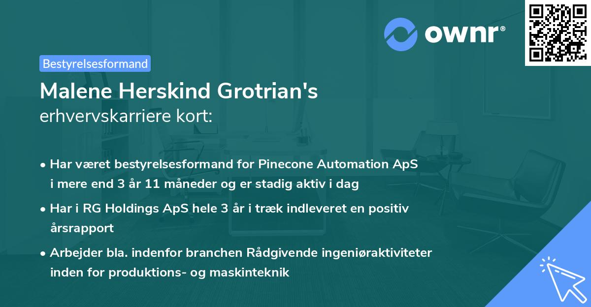 Malene Herskind Grotrian's erhvervskarriere kort
