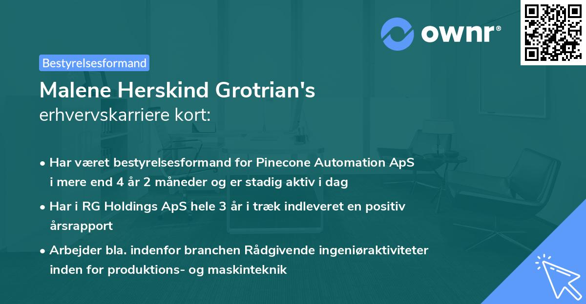 Malene Herskind Grotrian's erhvervskarriere kort