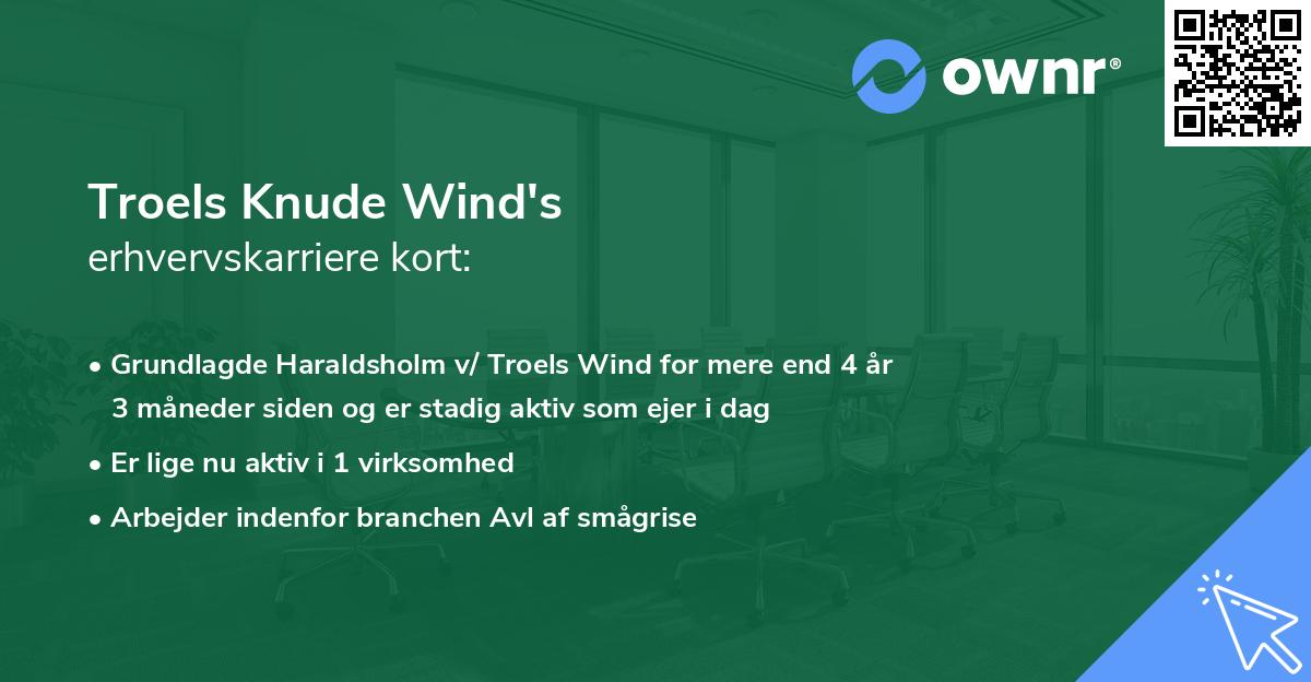 Troels Knude Wind's erhvervskarriere kort