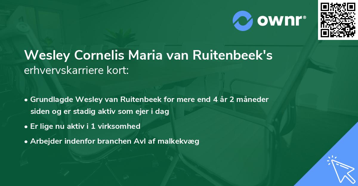 Wesley Cornelis Maria van Ruitenbeek's erhvervskarriere kort