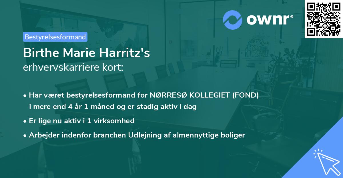 Birthe Marie Harritz's erhvervskarriere kort