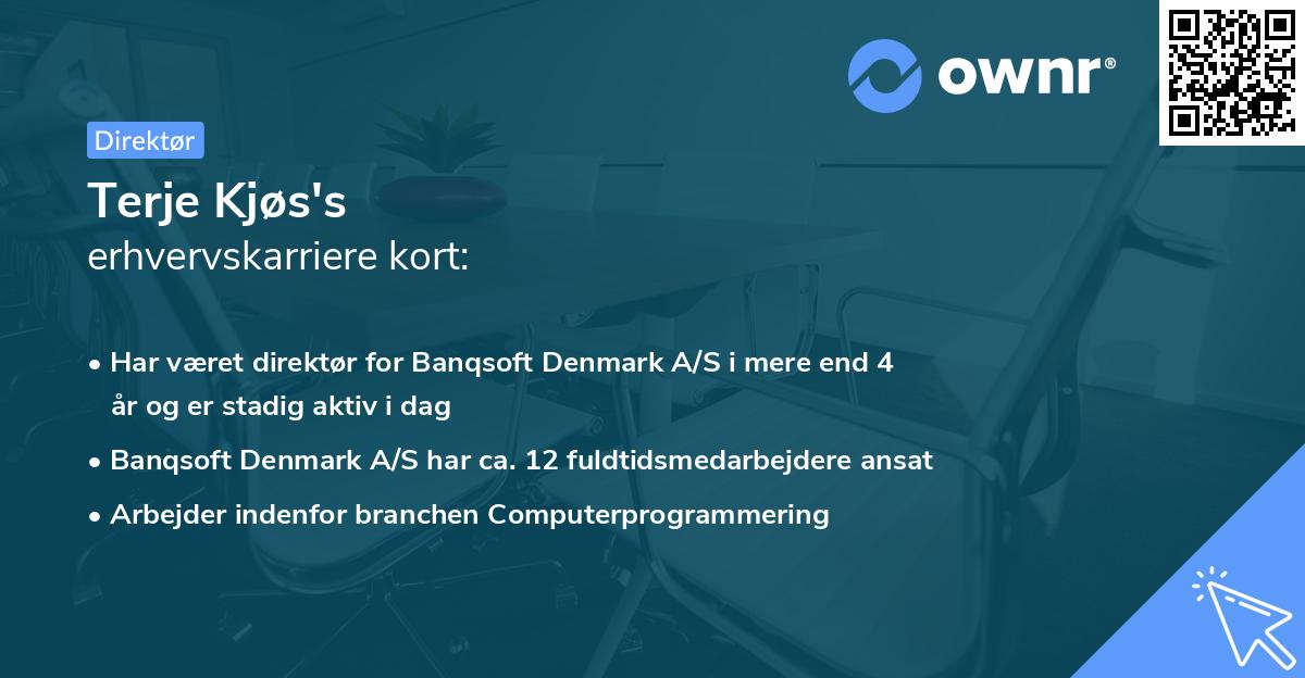 Terje Kjøs's erhvervskarriere kort