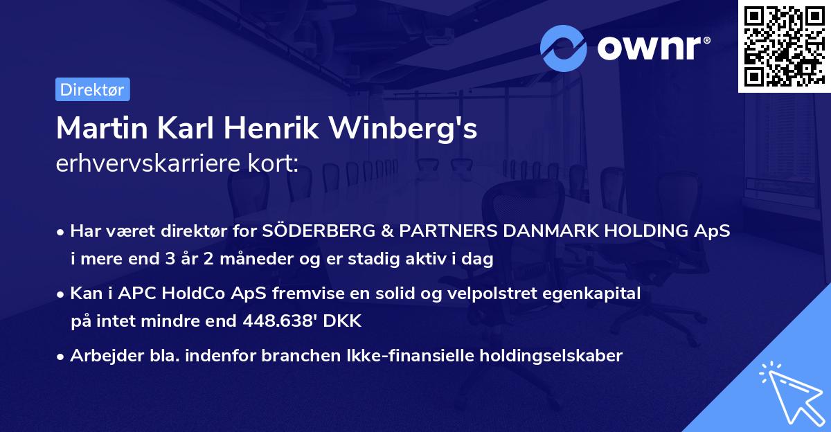 Martin Karl Henrik Winberg's erhvervskarriere kort