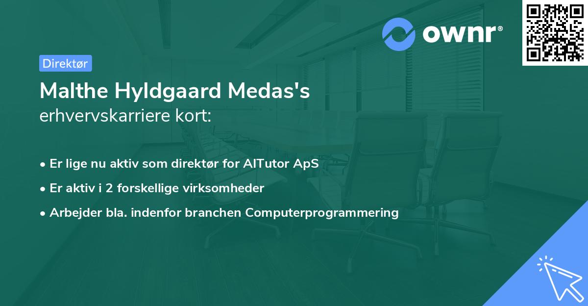 Malthe Hyldgaard Medas's erhvervskarriere kort