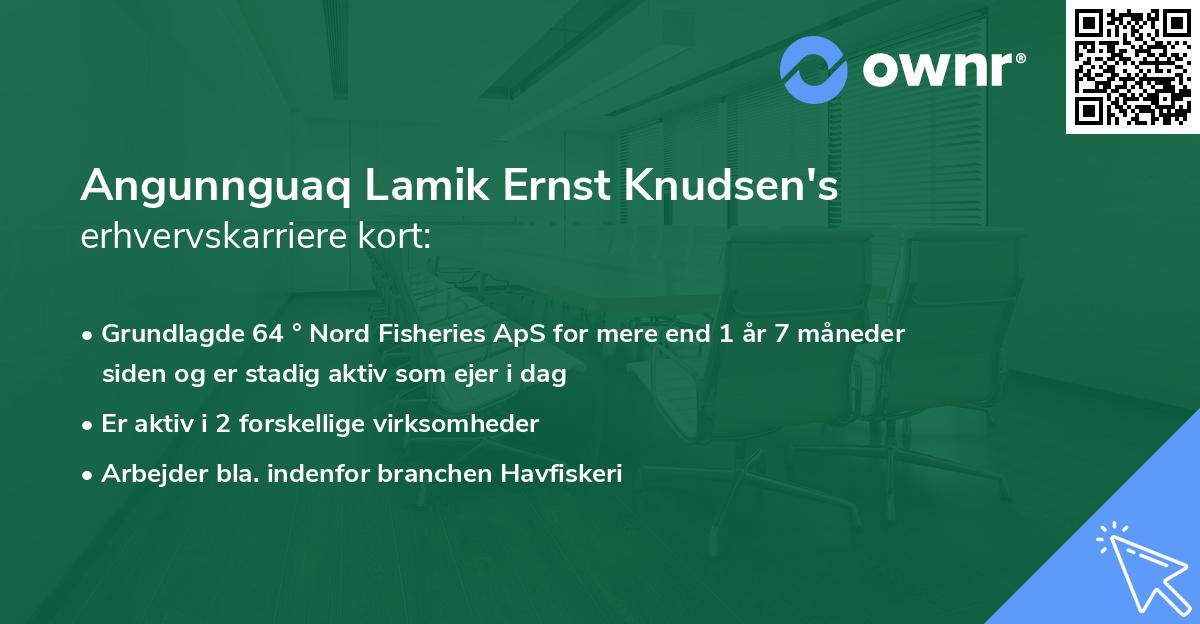 Angunnguaq Lamik Ernst Knudsen's erhvervskarriere kort