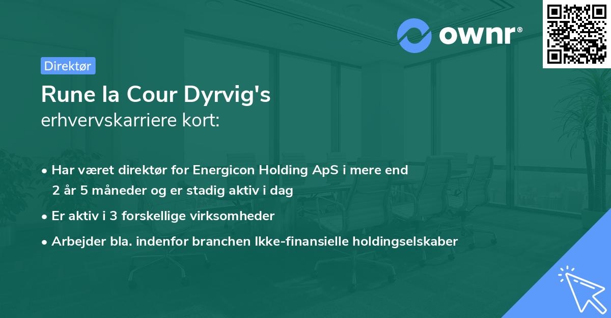 Rune la Cour Dyrvig's erhvervskarriere kort