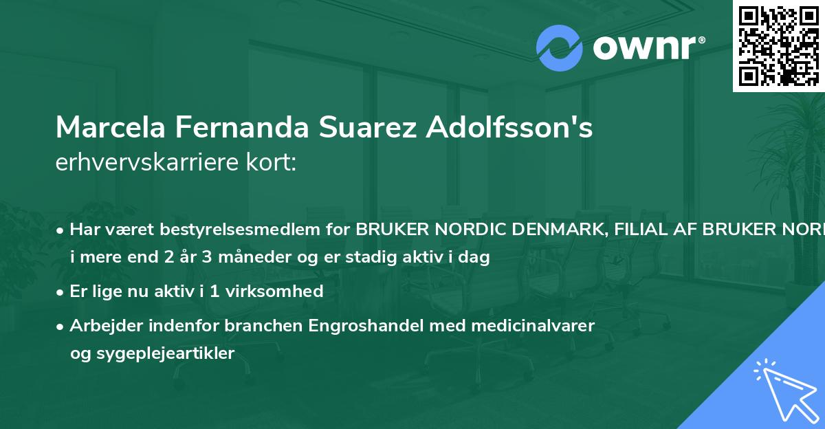 Marcela Fernanda Suarez Adolfsson's erhvervskarriere kort