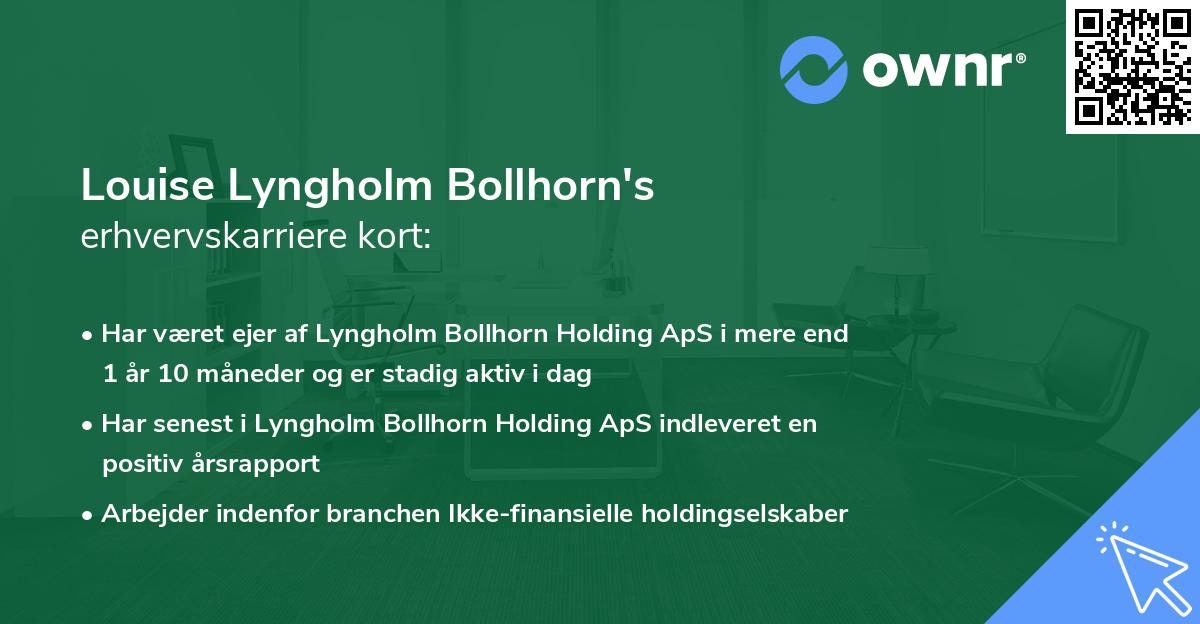 Louise Lyngholm Bollhorn's erhvervskarriere kort