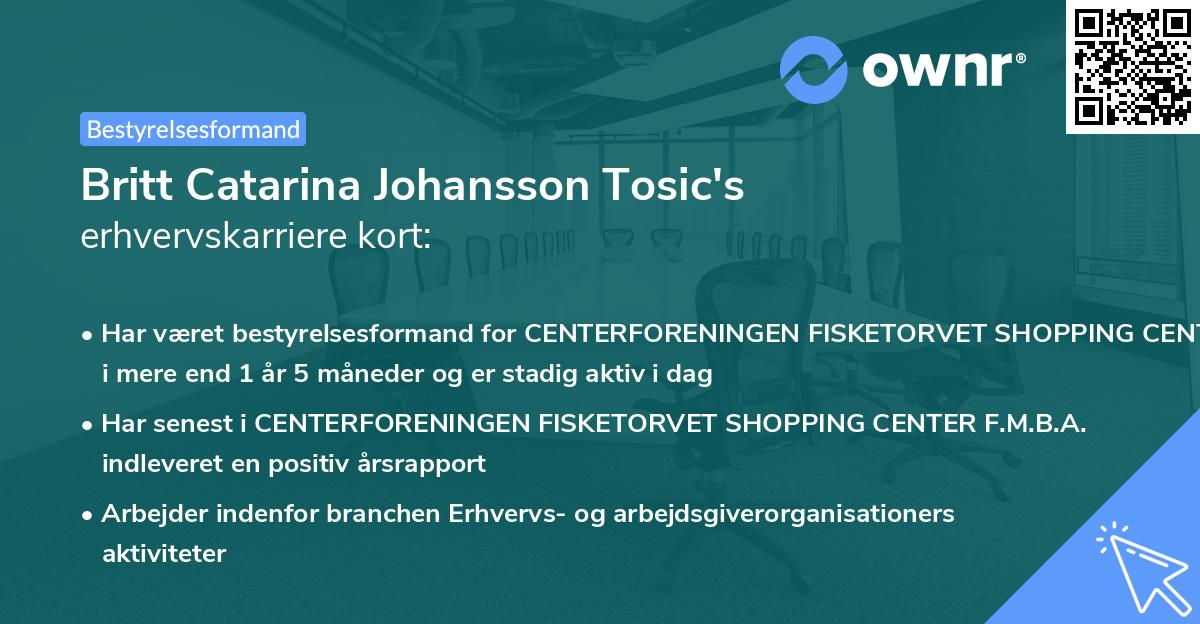 Britt Catarina Johansson Tosic's erhvervskarriere kort