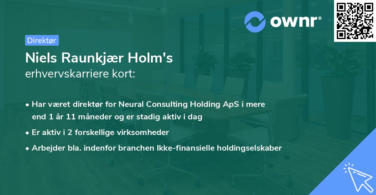 Niels Raunkjær Holm's erhvervskarriere kort