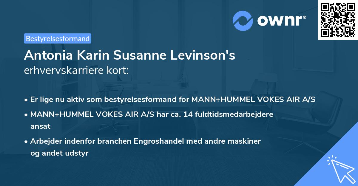 Antonia Karin Susanne Levinson's erhvervskarriere kort