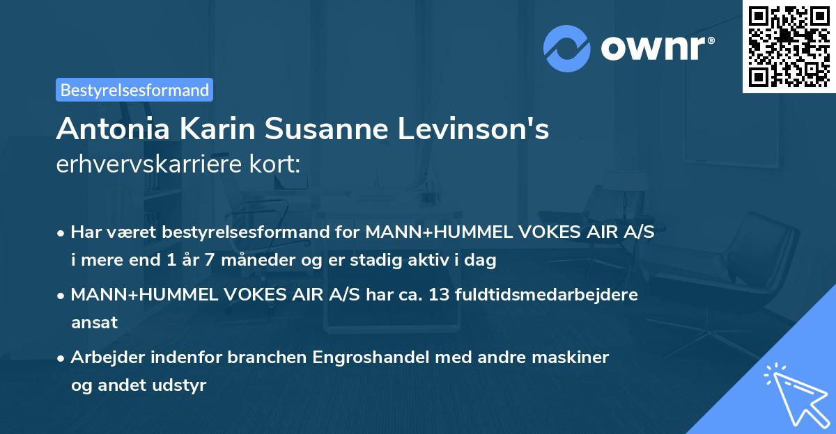 Antonia Karin Susanne Levinson's erhvervskarriere kort