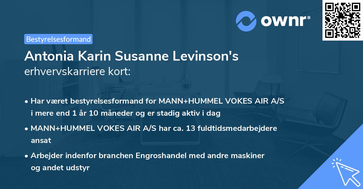 Antonia Karin Susanne Levinson's erhvervskarriere kort