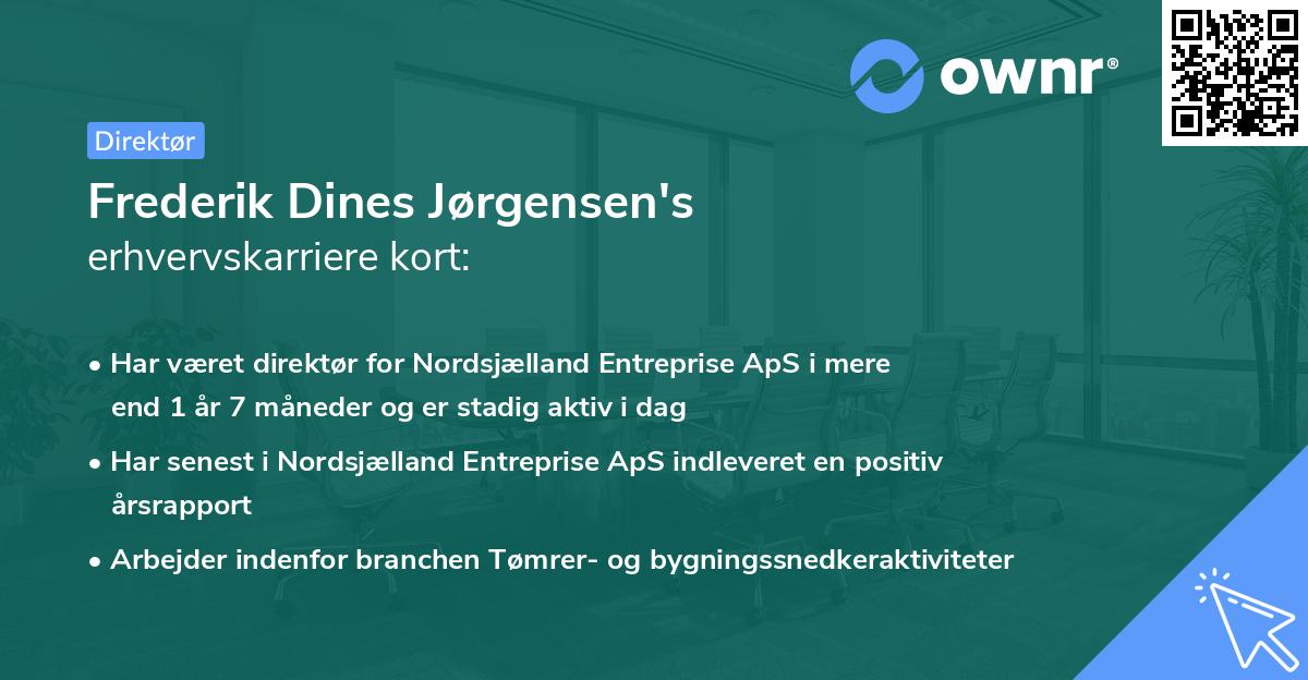 Frederik Dines Jørgensen's erhvervskarriere kort