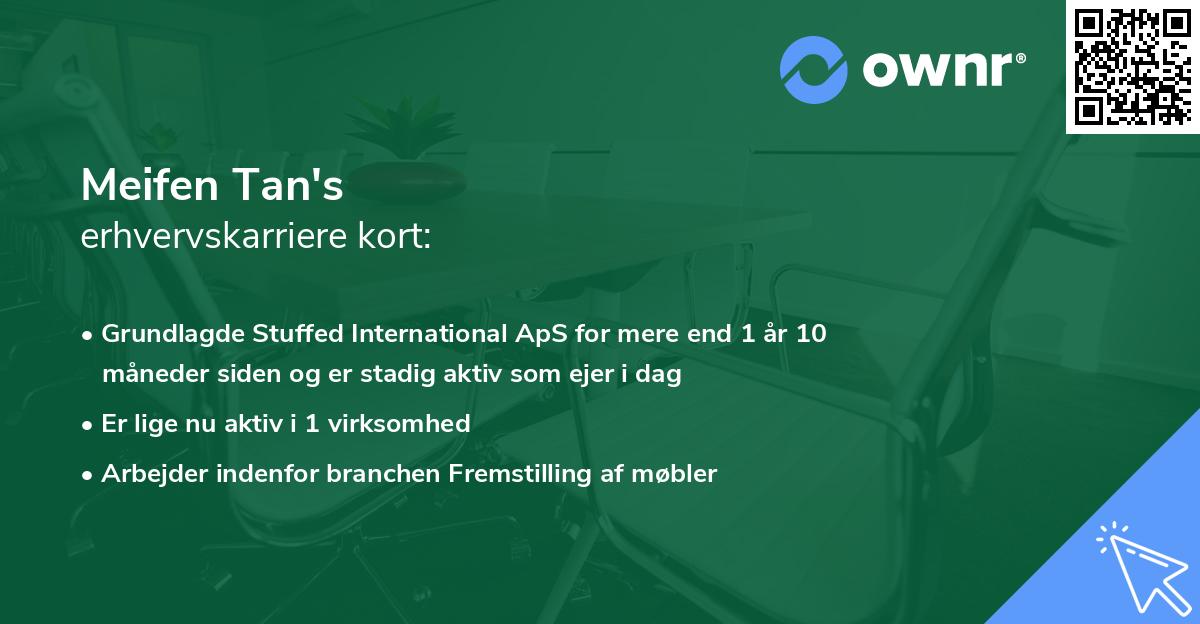 Meifen Tan's erhvervskarriere kort