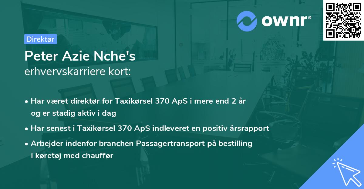 Peter Azie Nche's erhvervskarriere kort