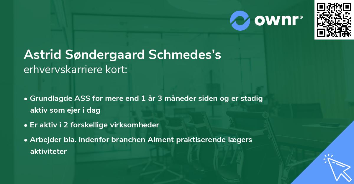 Astrid Søndergaard Schmedes's erhvervskarriere kort