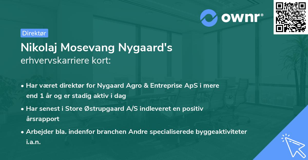 Nikolaj Mosevang Nygaard's erhvervskarriere kort