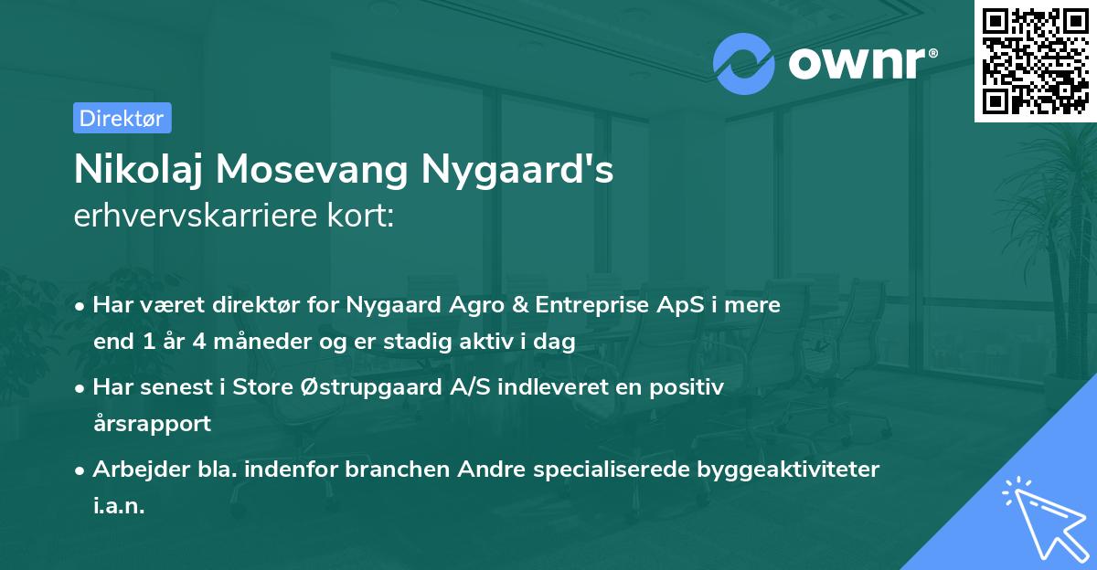 Nikolaj Mosevang Nygaard's erhvervskarriere kort