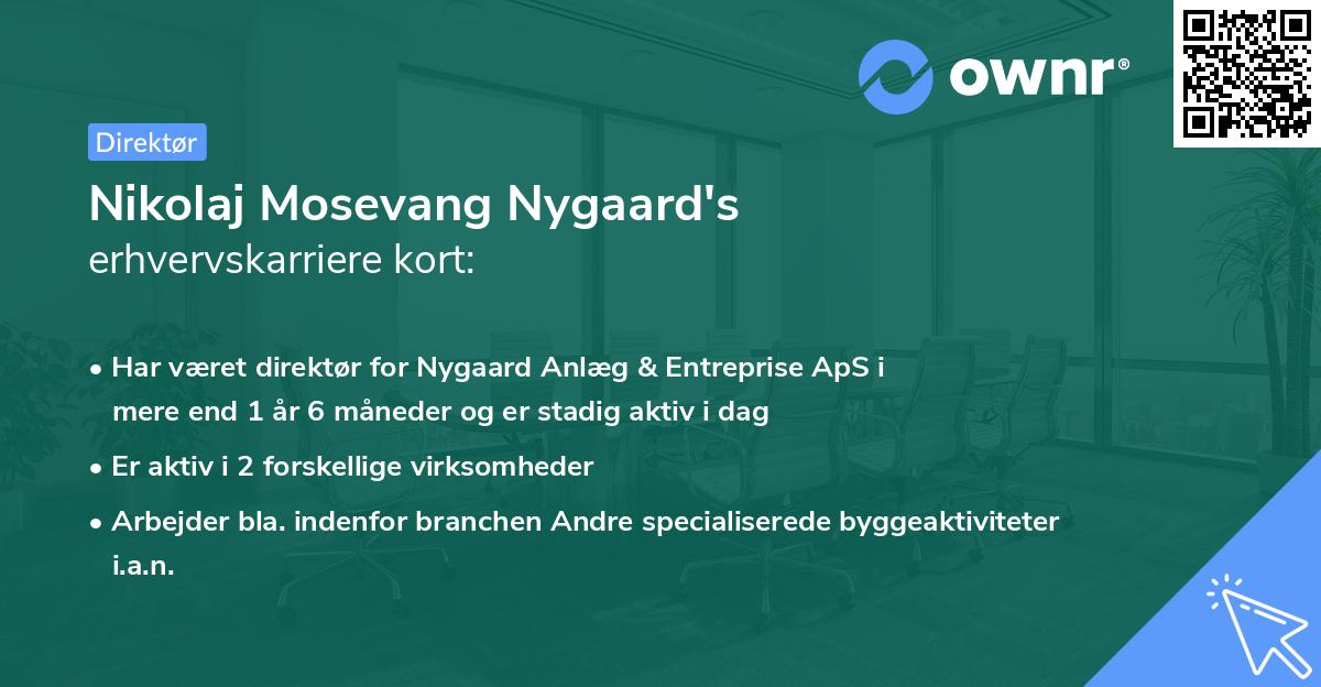 Nikolaj Mosevang Nygaard's erhvervskarriere kort