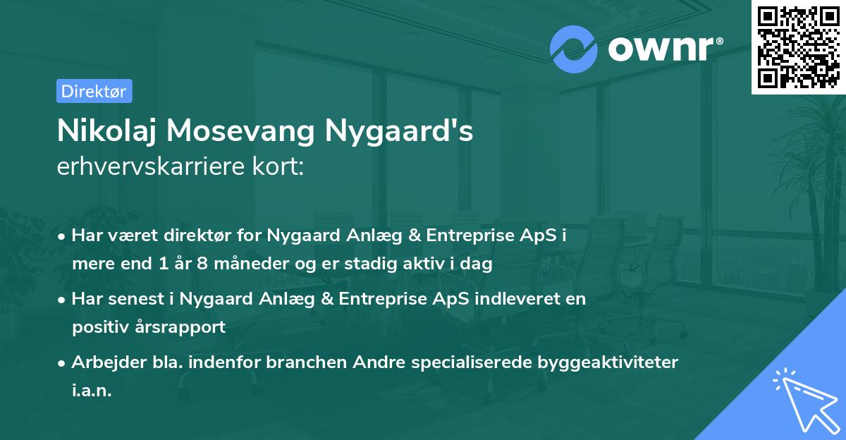 Nikolaj Mosevang Nygaard's erhvervskarriere kort