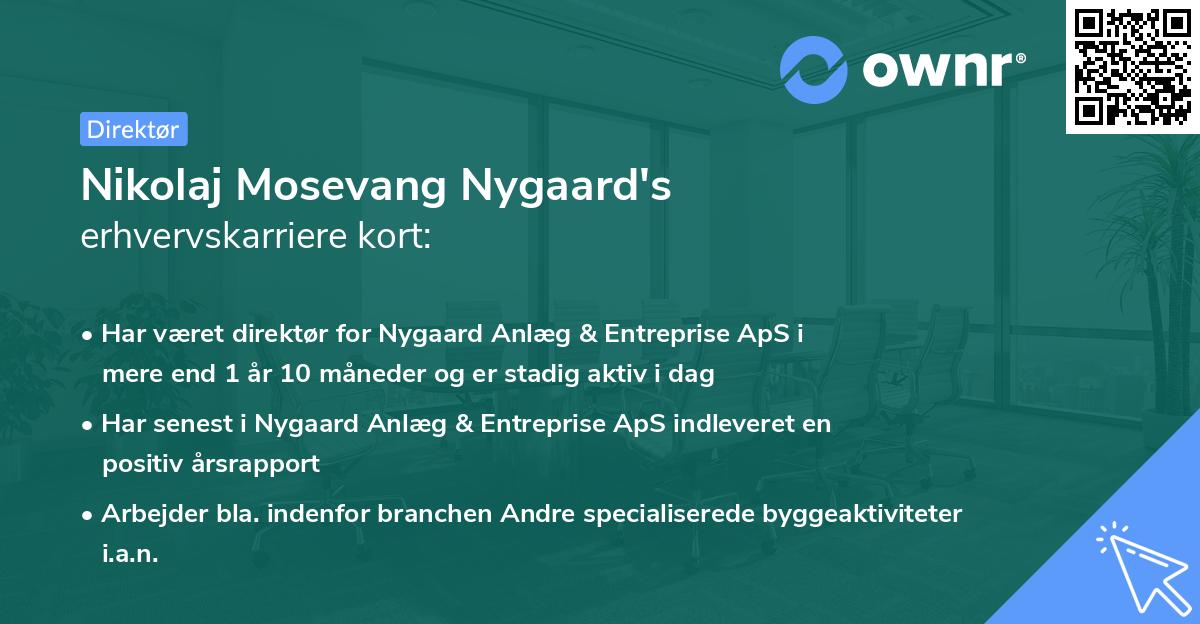Nikolaj Mosevang Nygaard's erhvervskarriere kort