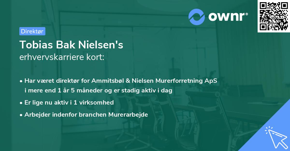 Tobias Bak Nielsen's erhvervskarriere kort