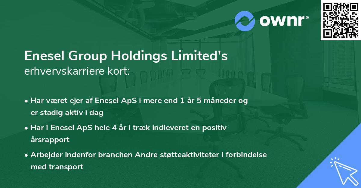 Enesel Group Holdings Limited's erhvervskarriere kort