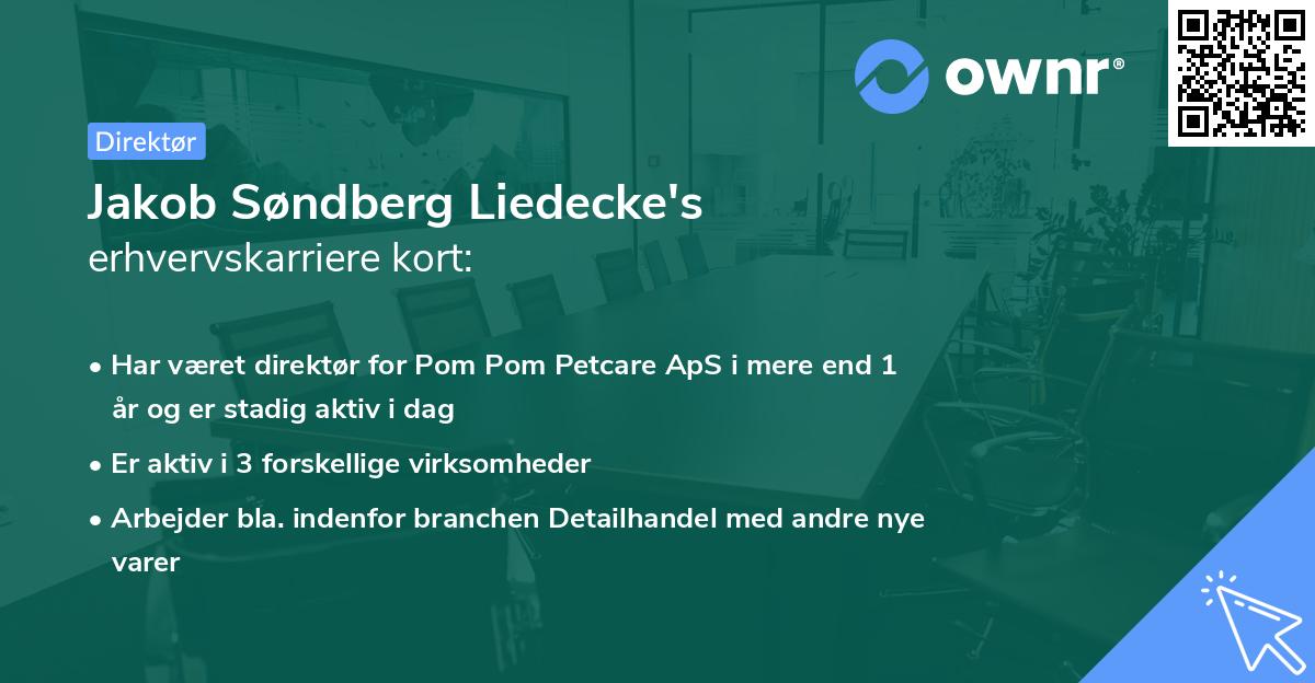 Jakob Søndberg Liedecke's erhvervskarriere kort