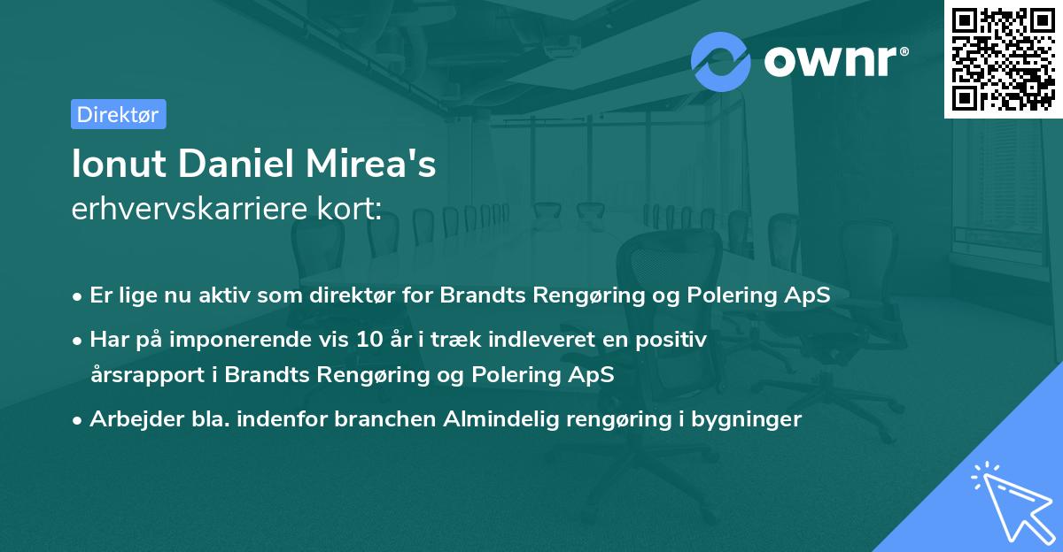 Ionut Daniel Mirea's erhvervskarriere kort
