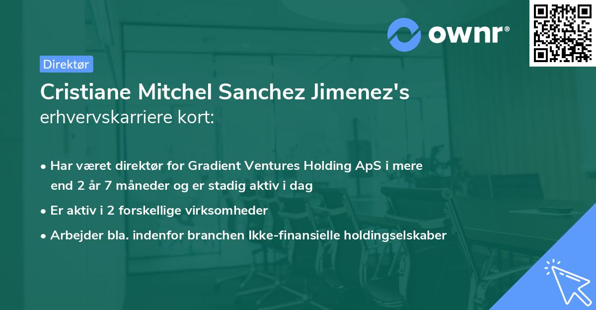 Cristiane Mitchel Sanchez Jimenez's erhvervskarriere kort
