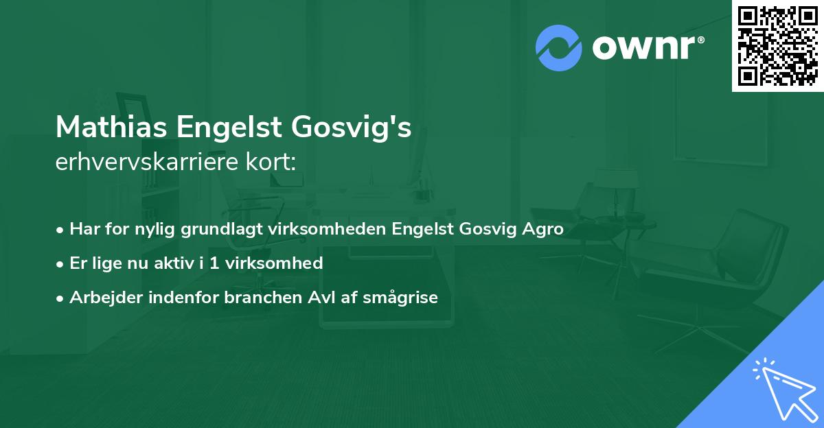 Mathias Engelst Gosvig's erhvervskarriere kort