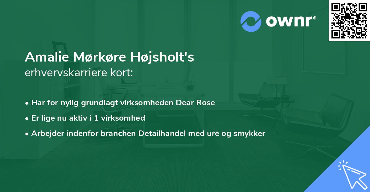 Amalie Mørkøre Højsholt's erhvervskarriere kort