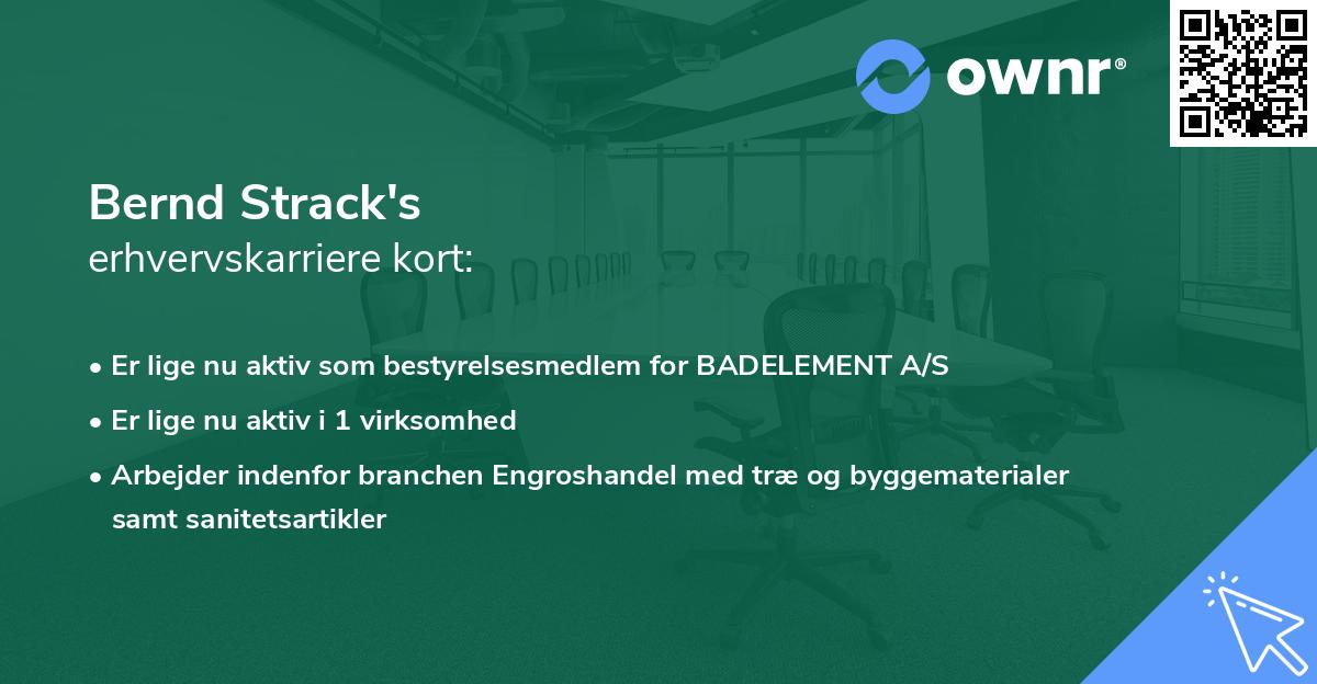 Bernd Strack's erhvervskarriere kort