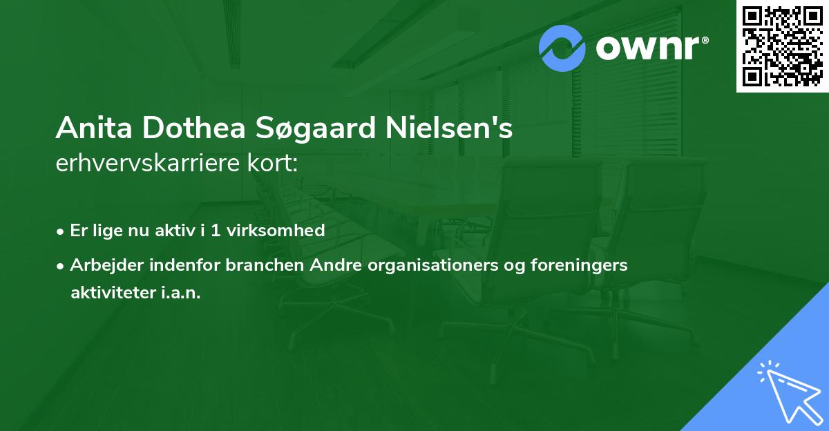 Anita Dothea Søgaard Nielsen's erhvervskarriere kort